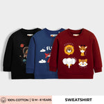 3 Pack Sweatshirts | Space Kid, Fly High, Animal Kingdom