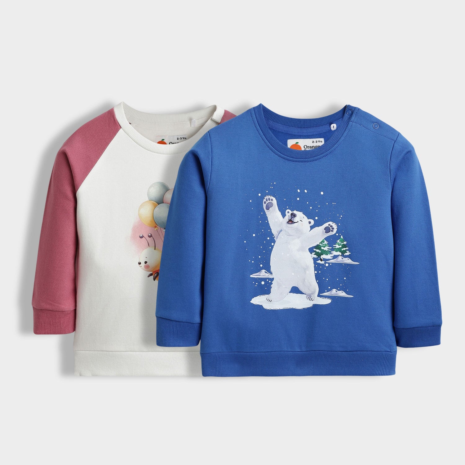 2 Pack Sweatshirts | Bee, Snowy Joy