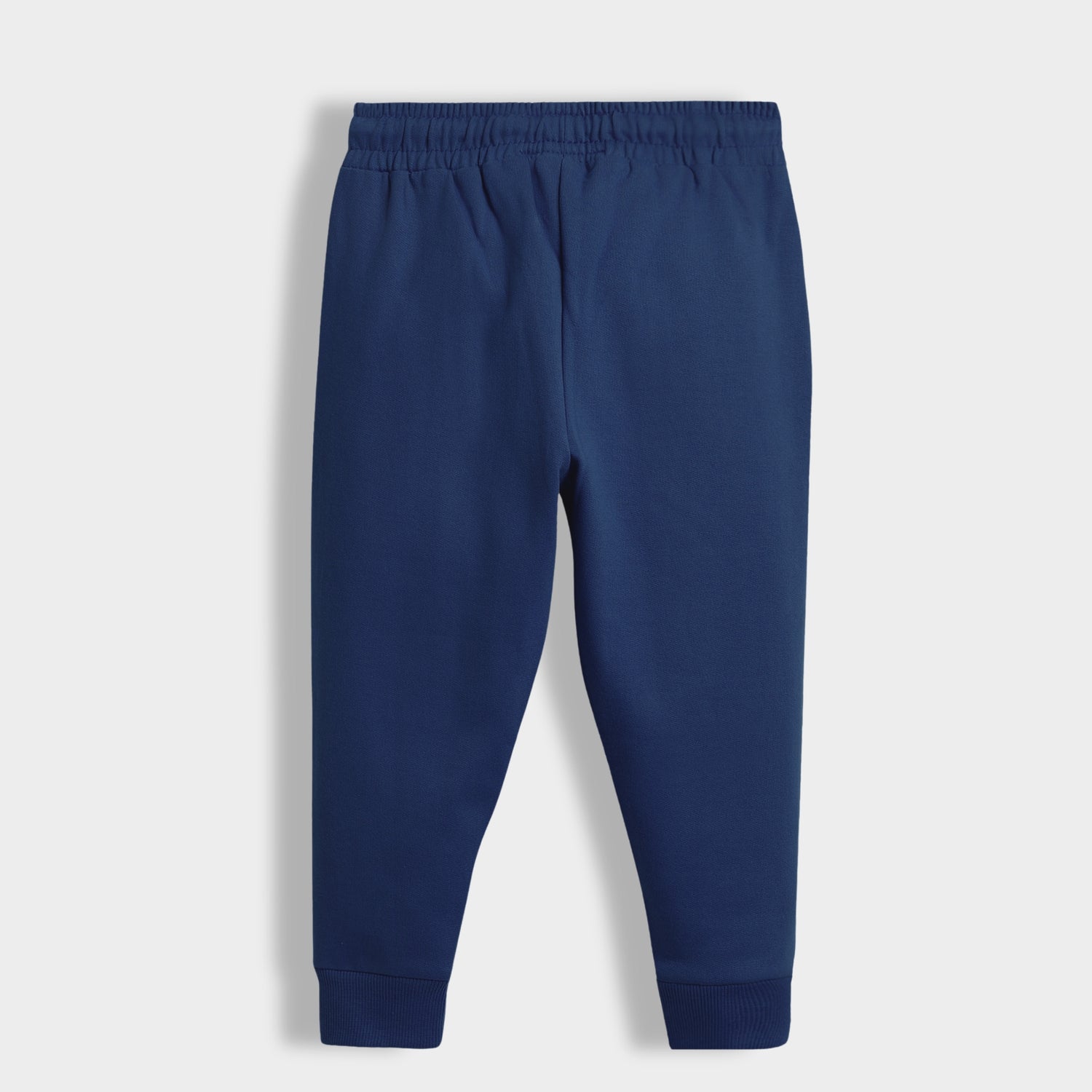 Winter Joggers | Blue