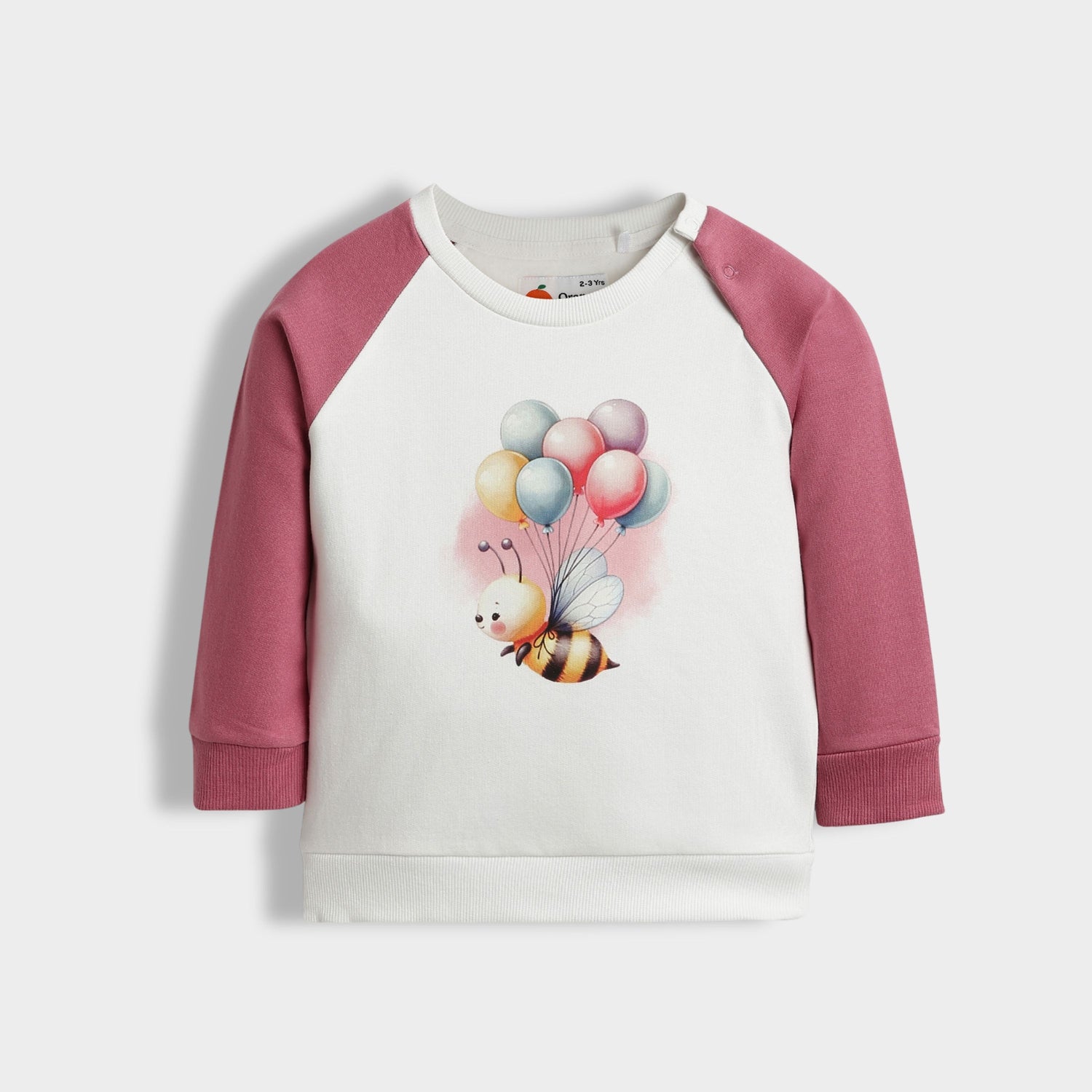 2 Pack Sweatshirts | Bee, Snowy Joy
