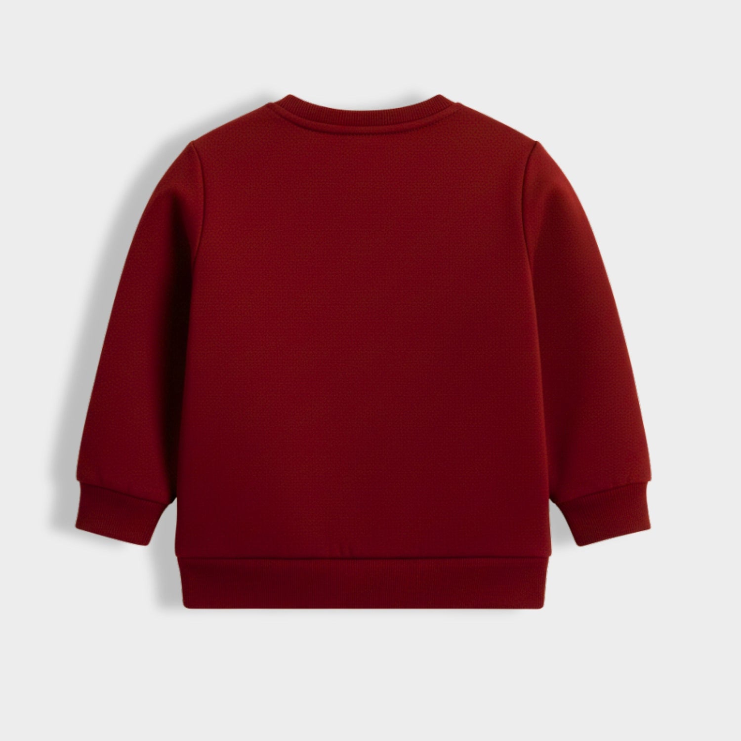 Sweatshirt | Animal Kingdom